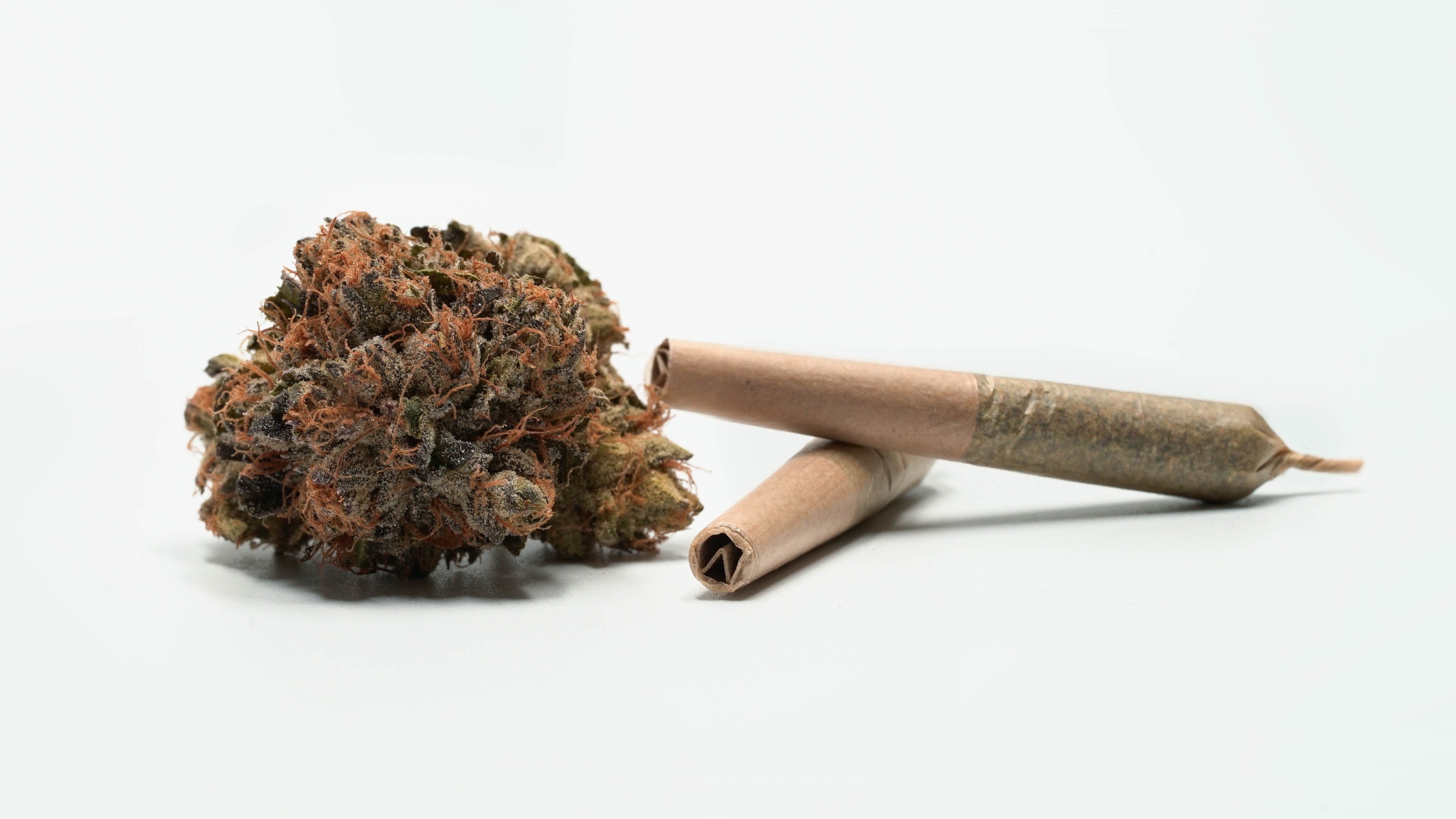 Top 5 uses for terpenes: Enhancing your cannabis HempElf.com Top 5 uses for terpenes: Enhancing your cannabis HempElf.com