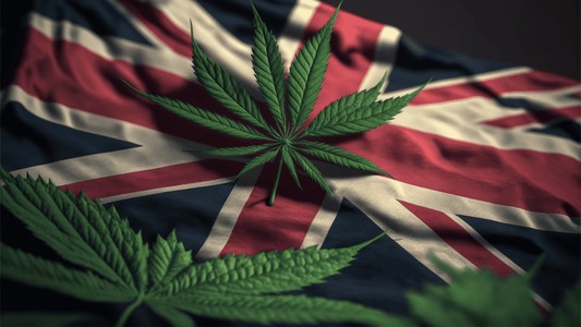 How Much Is Weed