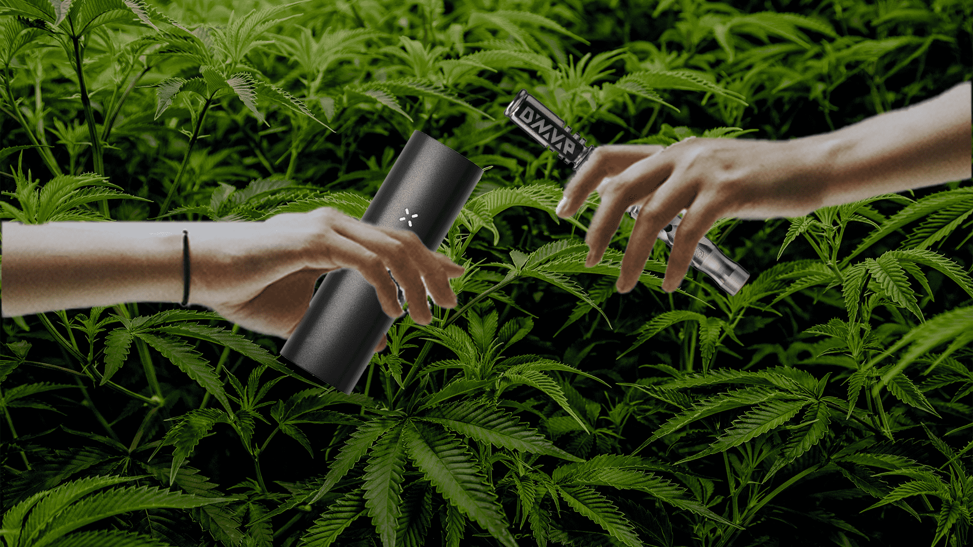 Pax 3 Vs Dynavap M HempElf.com Pax 3 Vs Dynavap M HempElf.com