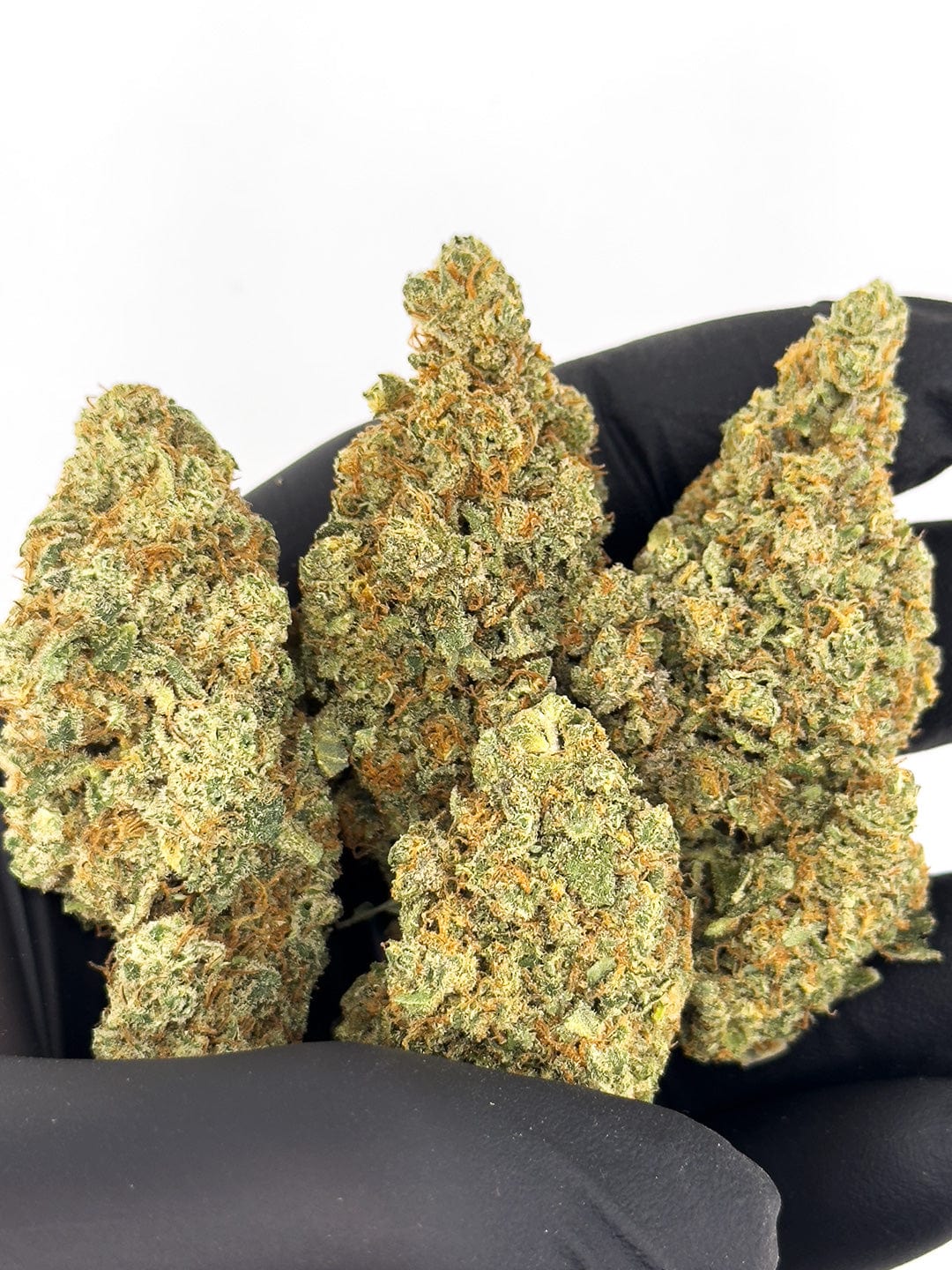 forbidden fruit hemp flowers close up hand