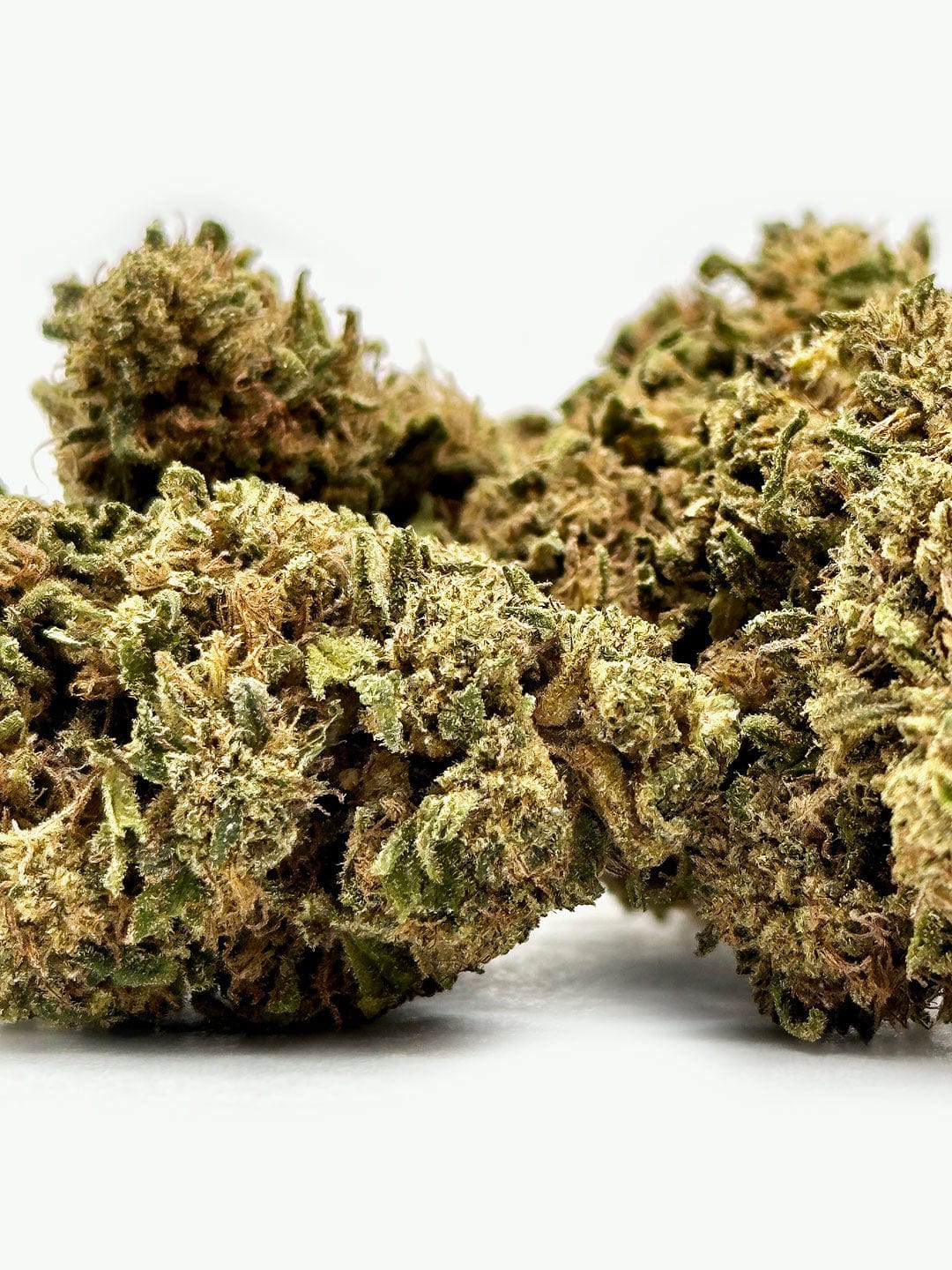 Bubblegum CBD Flower Close up