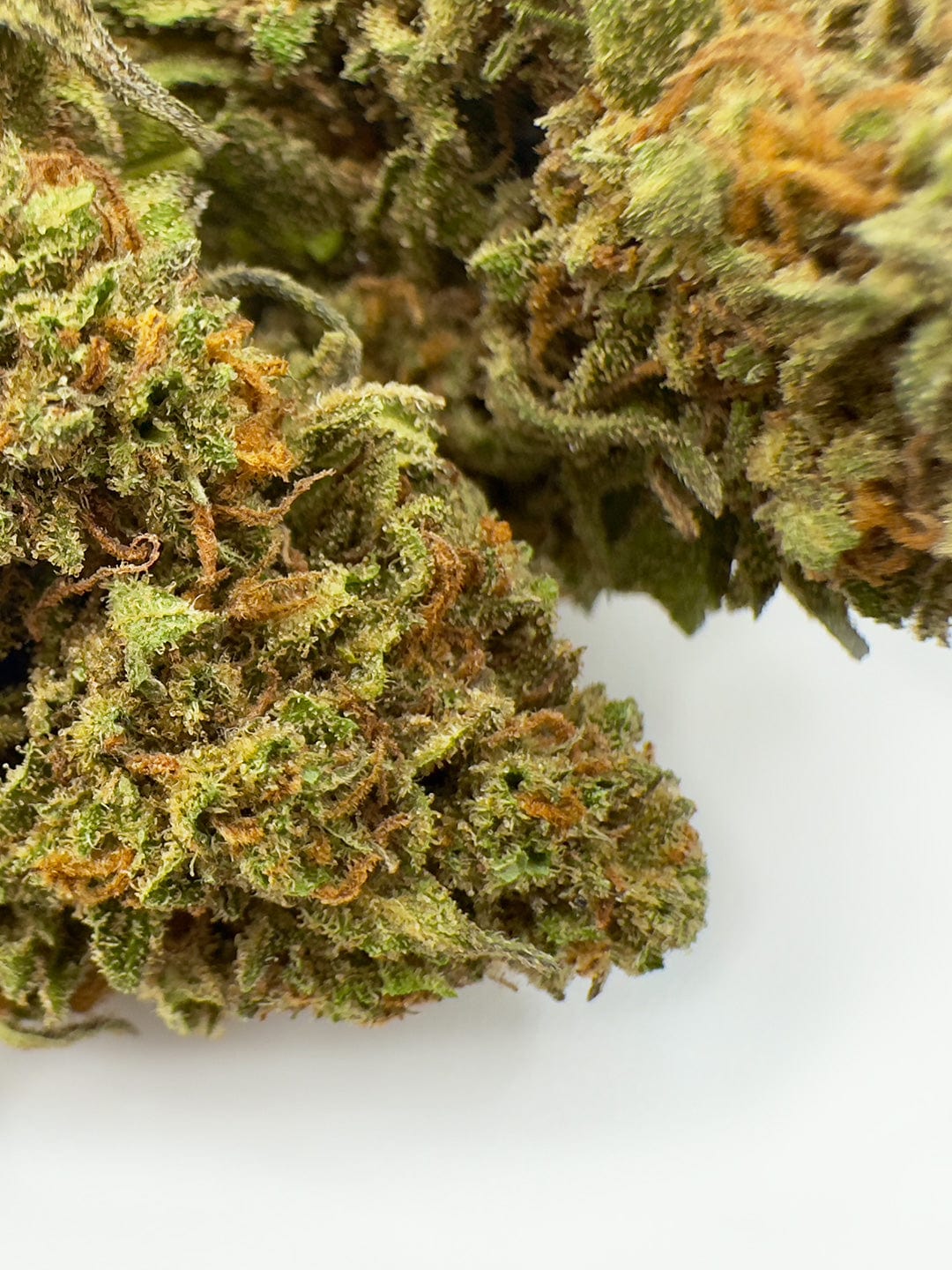 cookies and cream hemp flowers super close