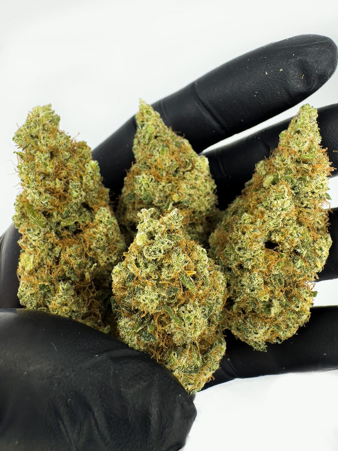 Hydro apple close up CBD flowers