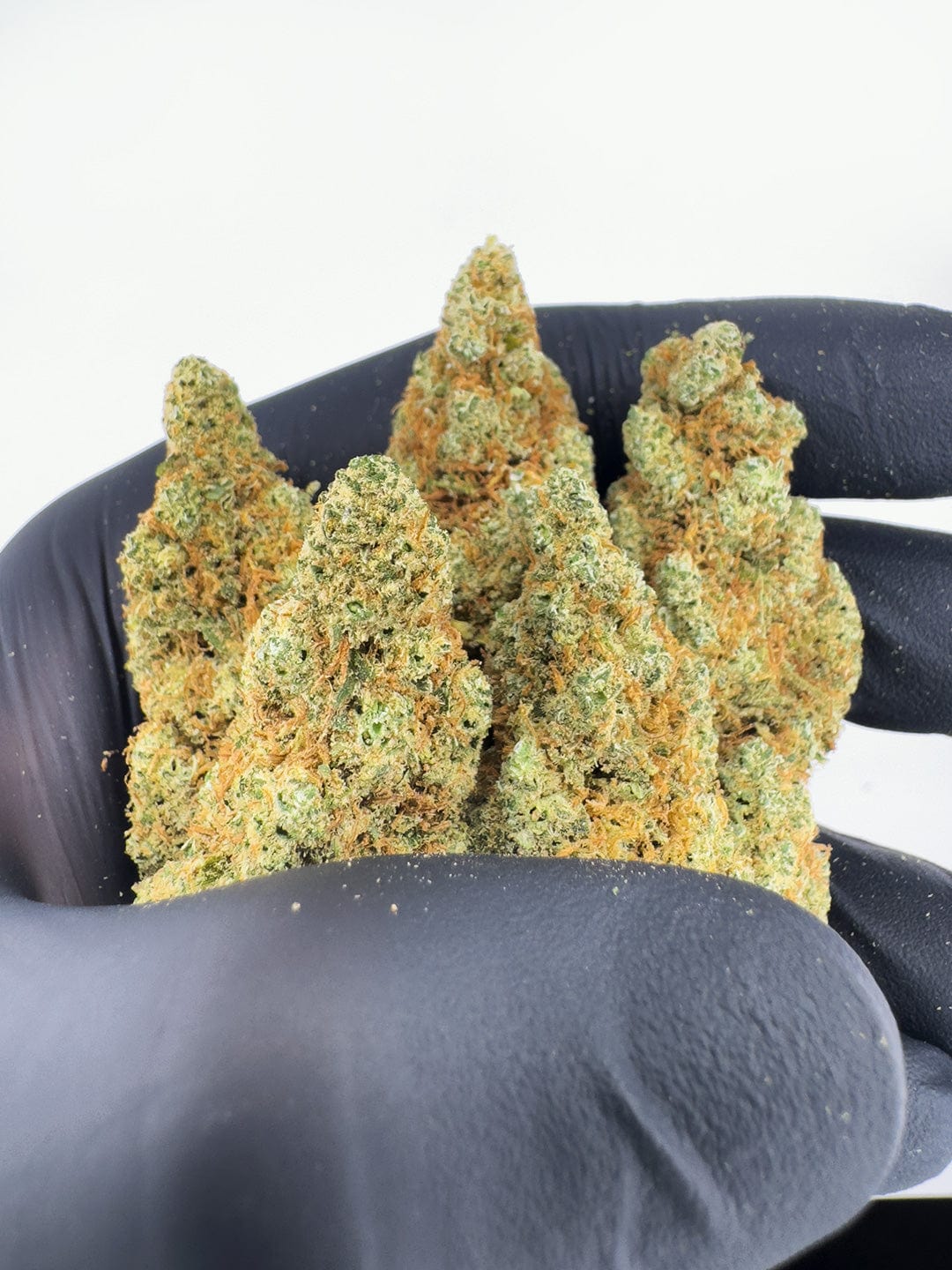 hydro mandarin hemp flowers super close