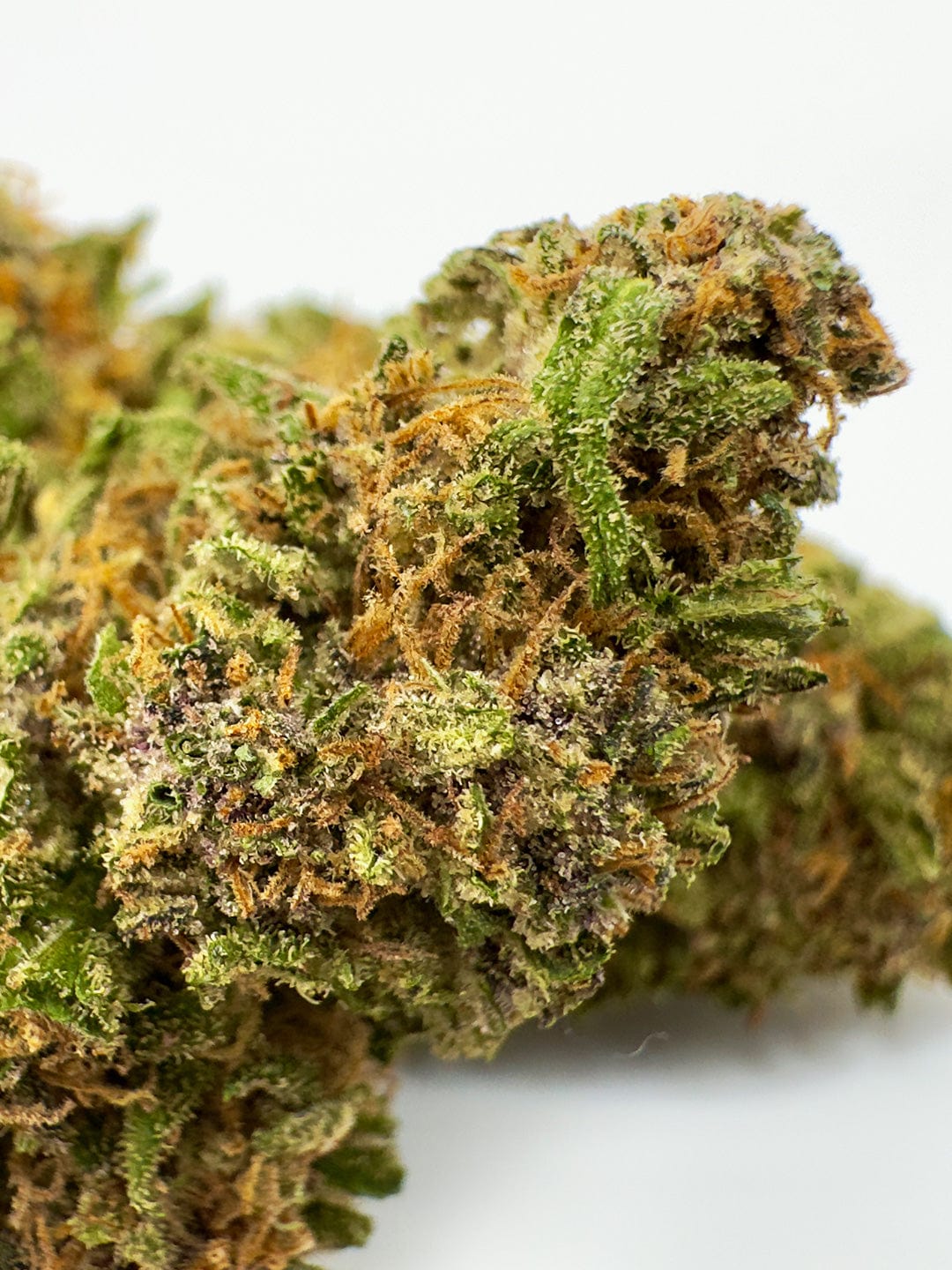 close up legendary og CBD flowers