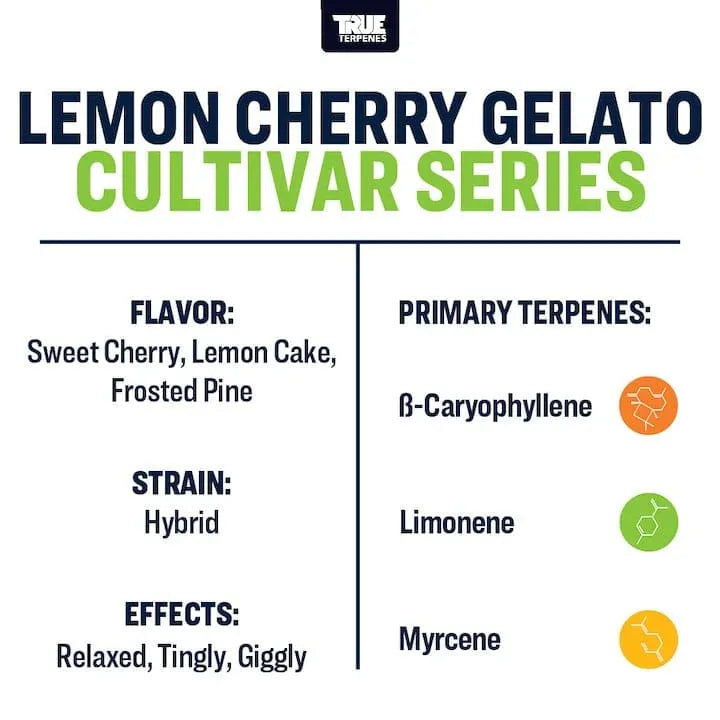 Lemon Cherry Zelato | Terpenes UK | 5ml