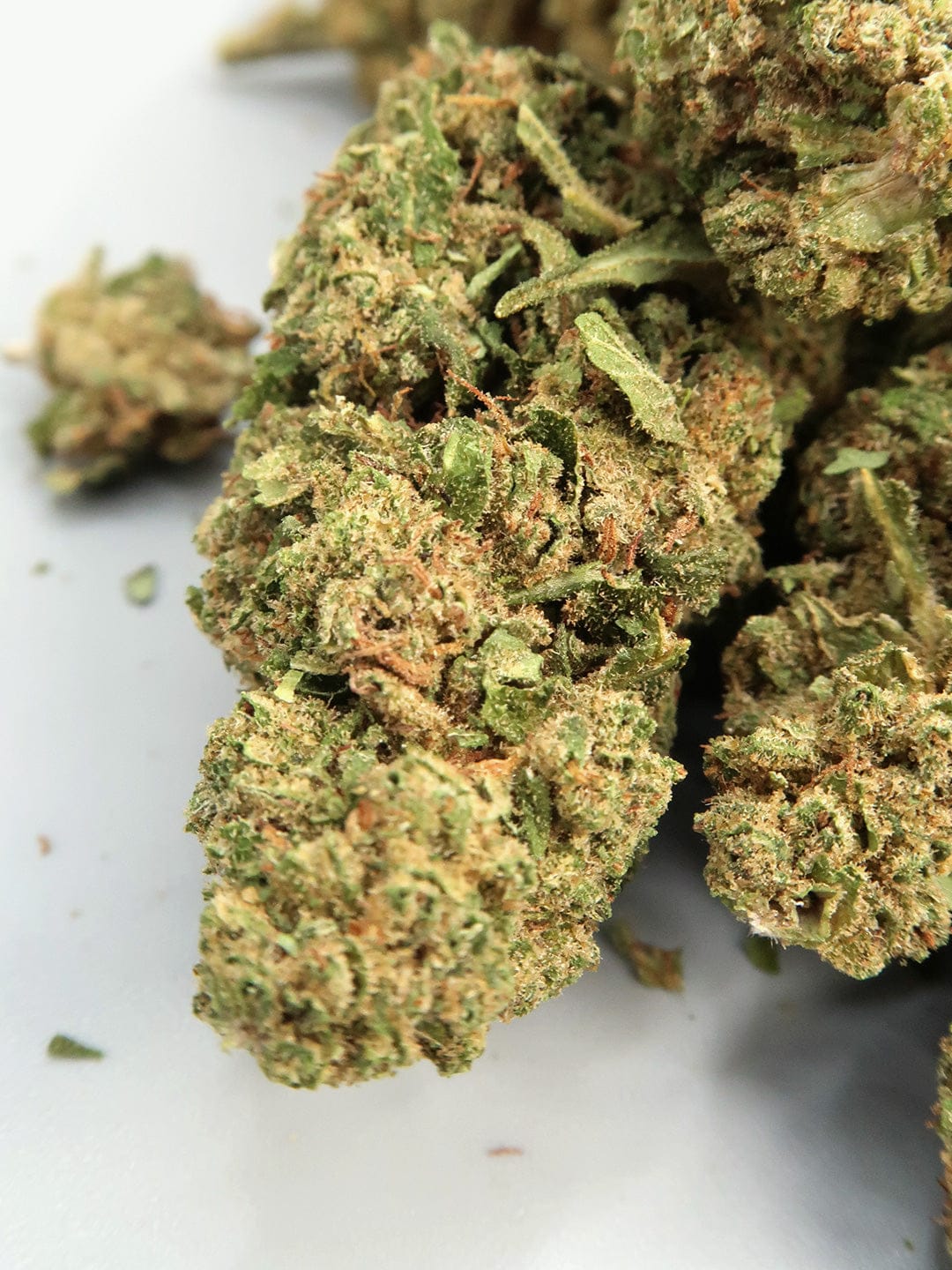 Limoncello Budget CBD Hemp Flower | (8-12% CBD)