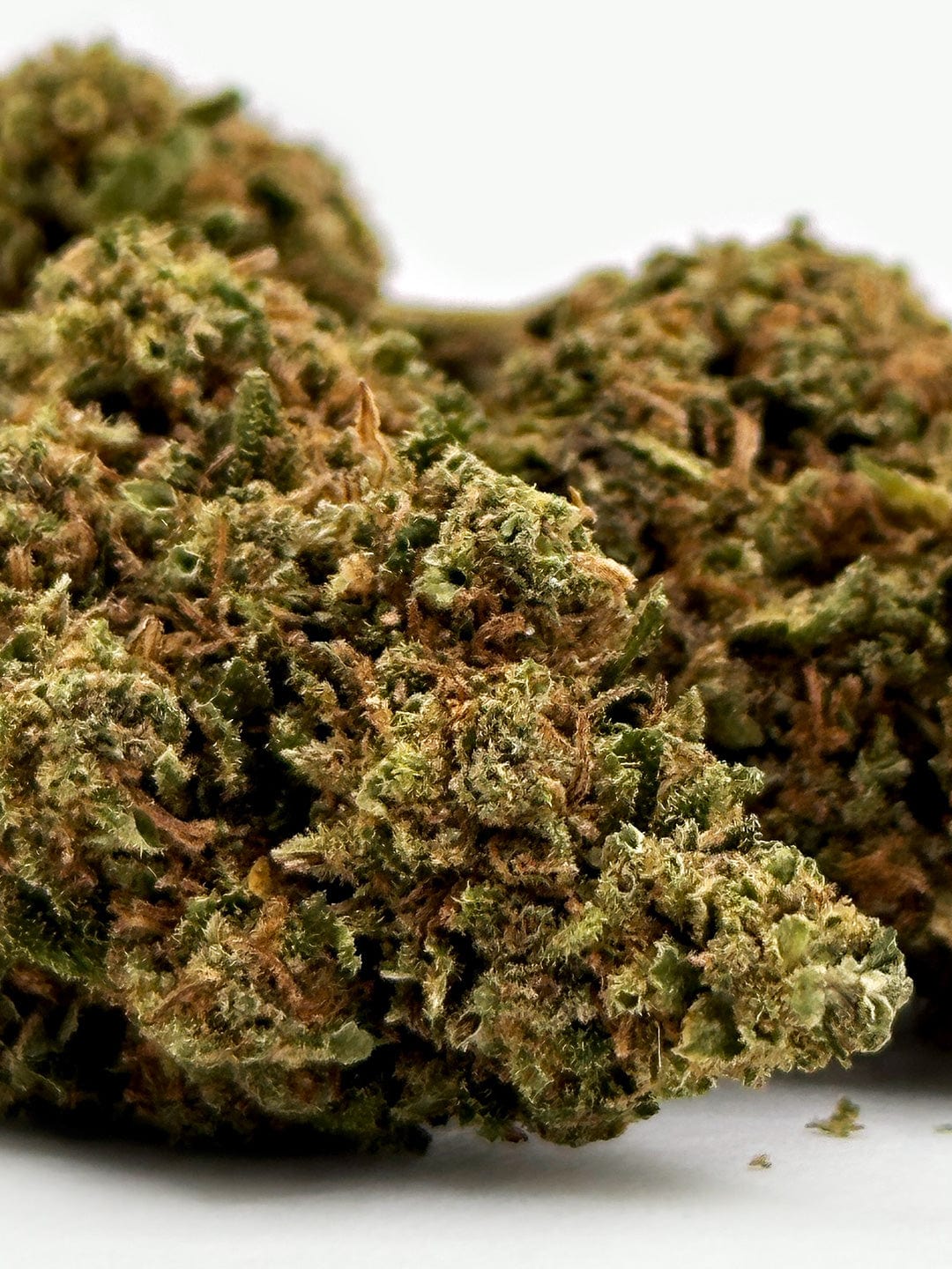 "Mango Haze" Hemp Flowers (8-13% CBD)