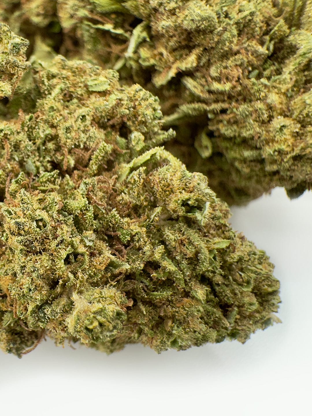 Milk Shake CBD Flower Close up