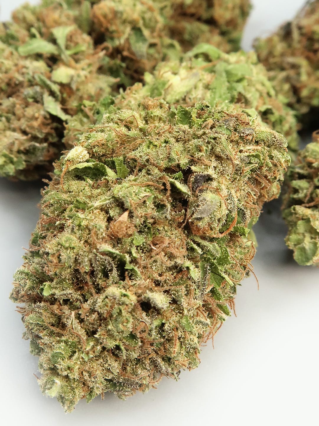 Sorbet Hemp Flowers (8-13% CBD)