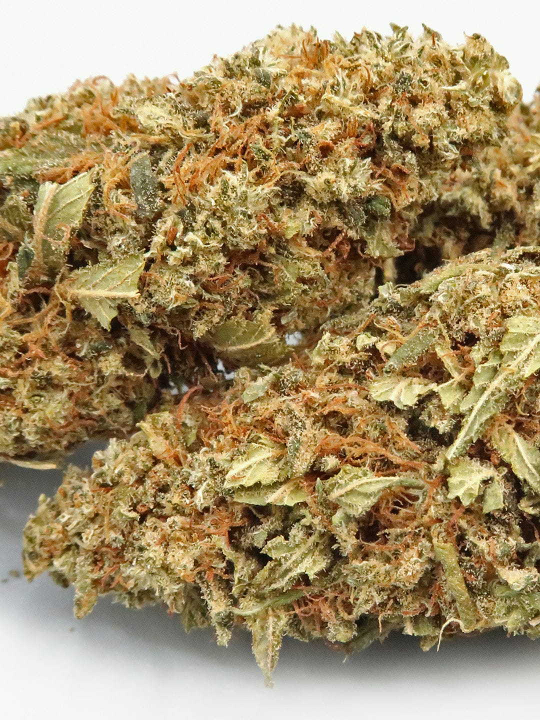 super skunk cbd flower close up