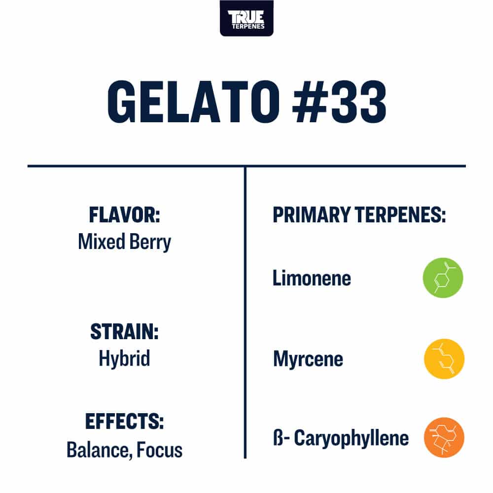 Gelato #33 | Terpenes UK | 5ml