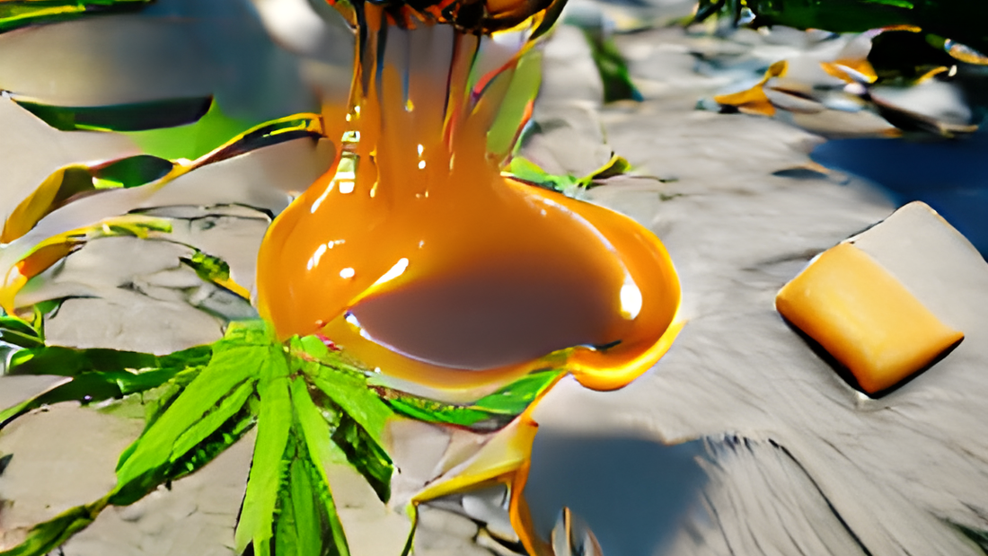 The 5 Best CBD Extracts In The UK