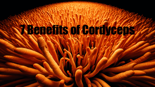7 Benefits of Cordyceps