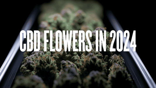 CBD Flowers Guide in UK