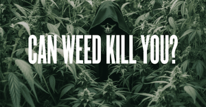 Can Weed Kill You?