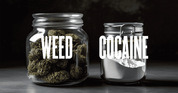 Cocaine and Weed: Understanding the Risks