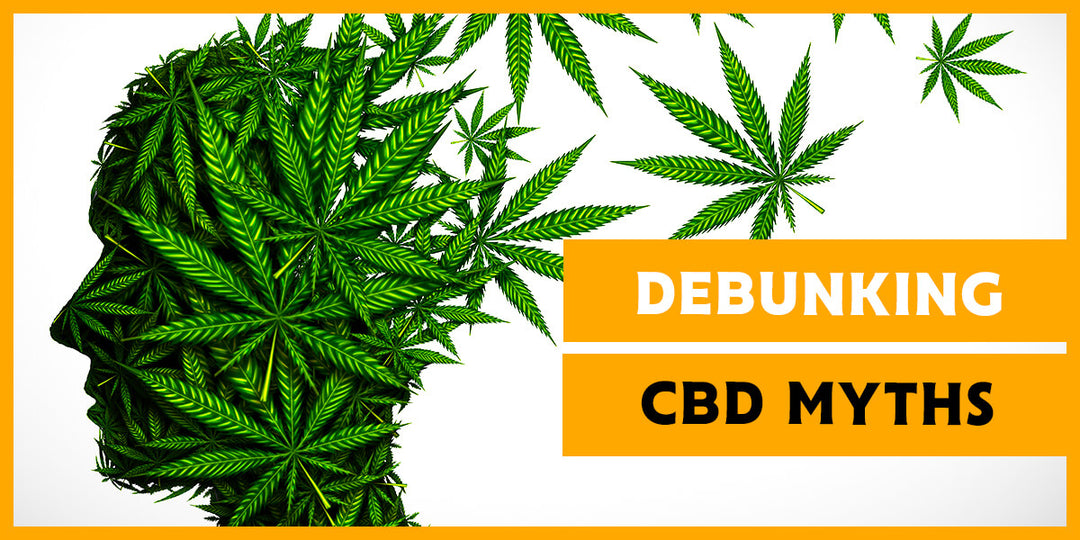 Debunking the Main CBD Myths