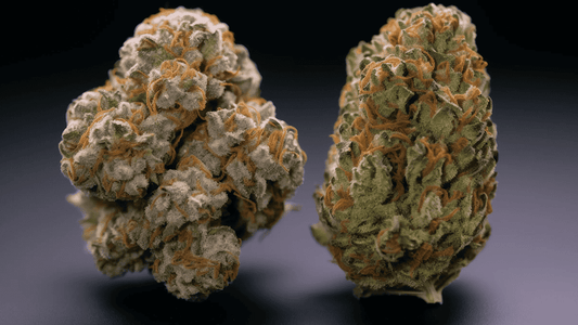 Good Weed VS Bad Weed