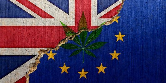 What does Brexit mean for CBD products? - HempElf UK Best CBD and Cannabis Products for sale online