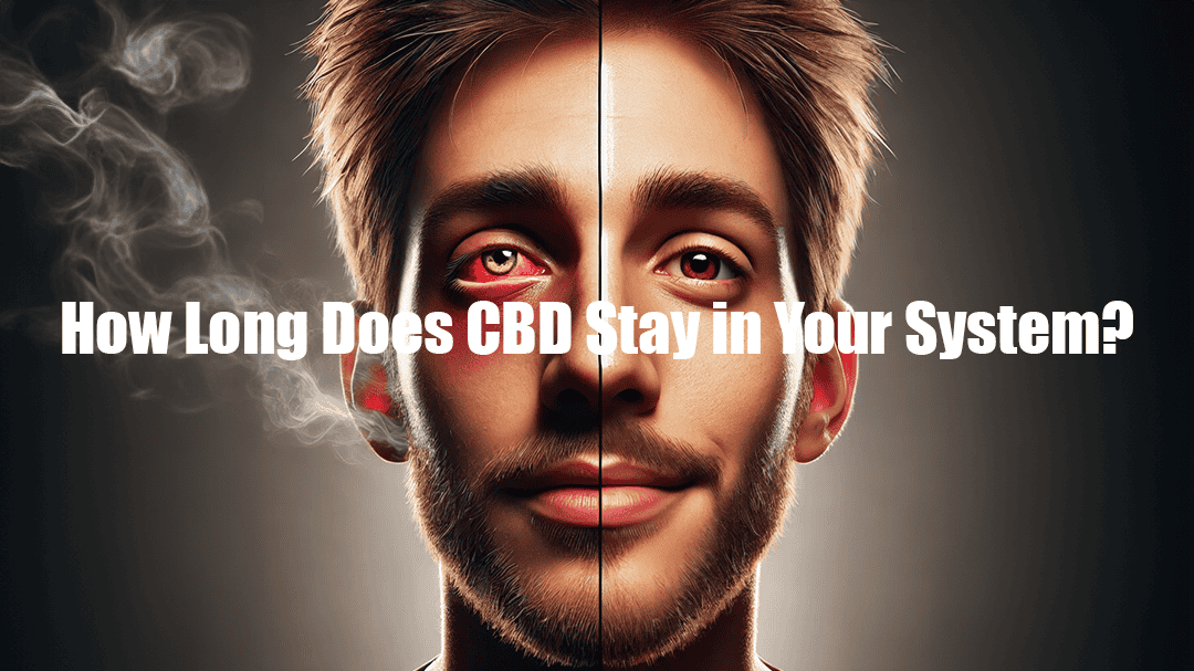 How Long Does CBD Stay in Your System?