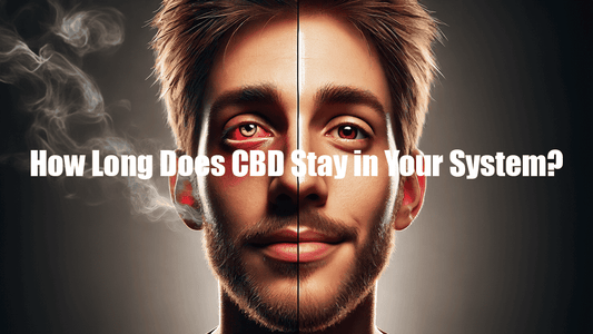How Long Does CBD Stay in Your System?