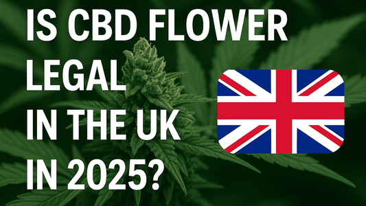 Is CBD Flower Legal in the UK in 2025
