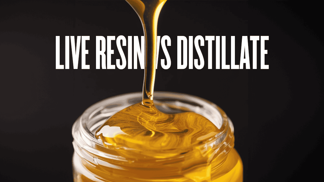 Live Resin VS Distillate