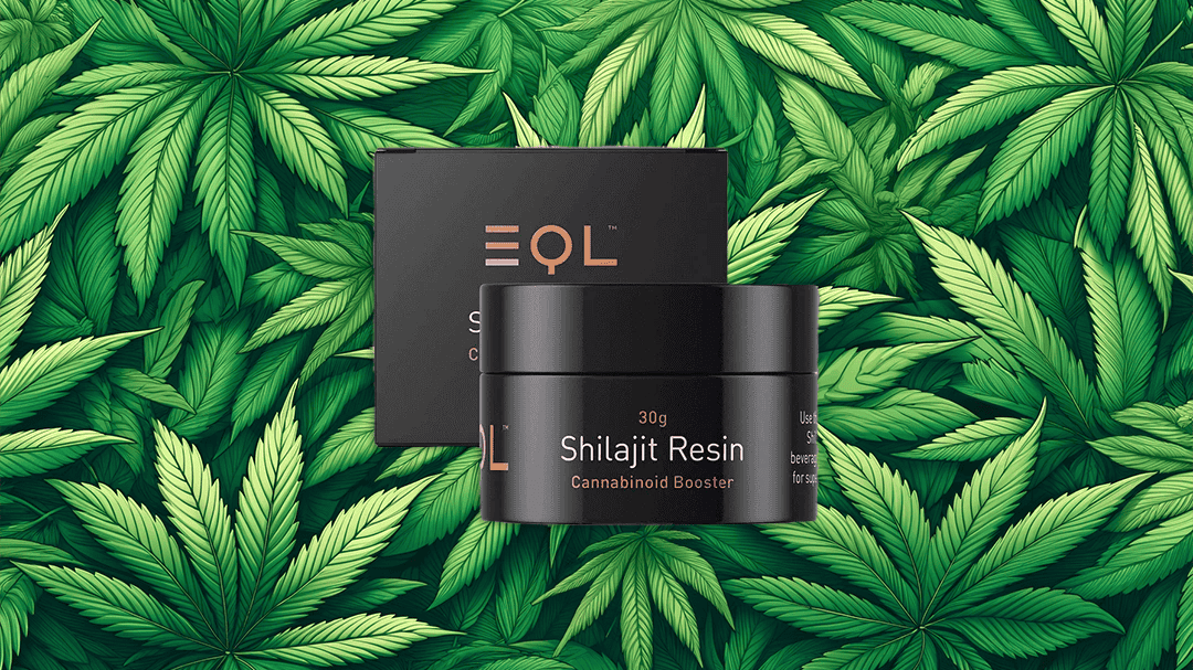 Shilajit as a Cannabinoid Booster