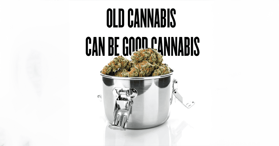 Smoking Old Weed: A Guide to Enjoying Aged Cannabis