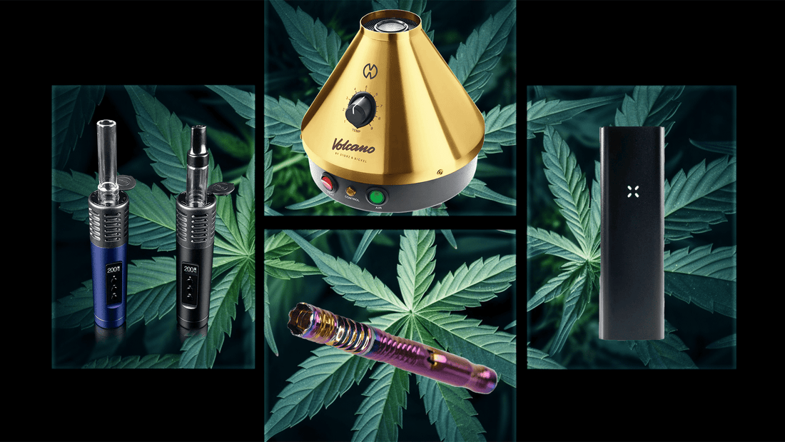 Cannabis Vape in 2023