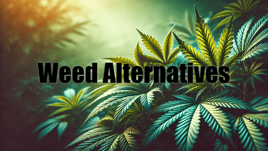 What Can I Smoke Instead of Weed?