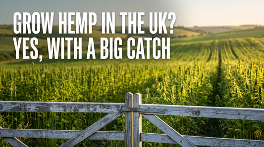 Wooden gate by a field to grow hemp in the UK