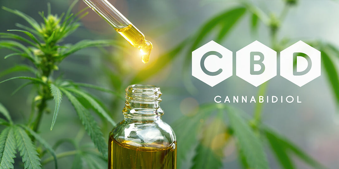 What is CBD & why use it? - The benefits of CBD are being touted all over the world and an increasing number of curious minds are wondering whether or not to try it for their specific