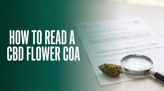 How to read a CBD flower COA: bud and magnifier