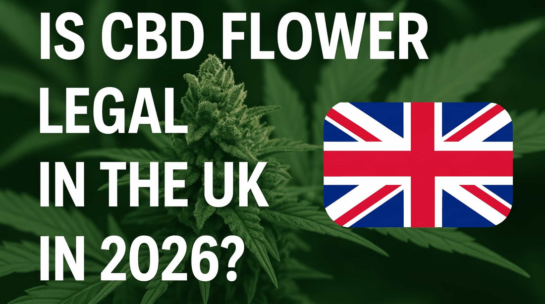 is cbd flower legal in the uk in 2026