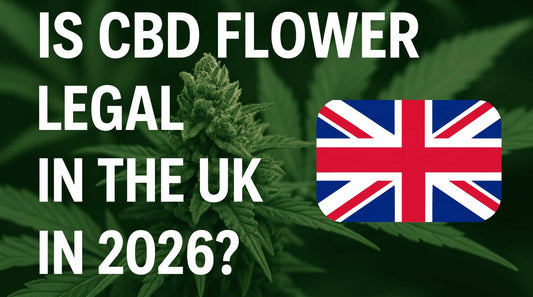 is cbd flower legal in the uk in 2026