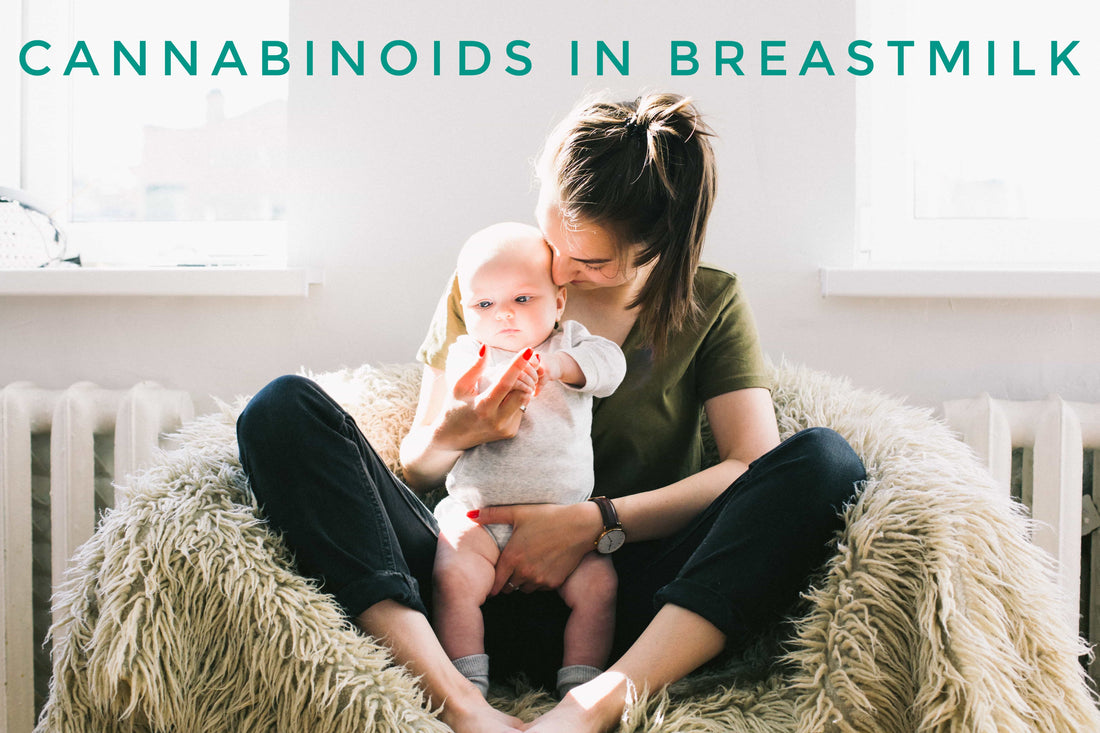 Cannabinoids in Breast Milk?