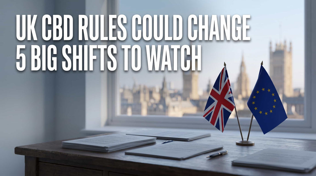 UK and EU flags, UK CBD rules could change