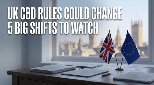 UK and EU flags, UK CBD rules could change