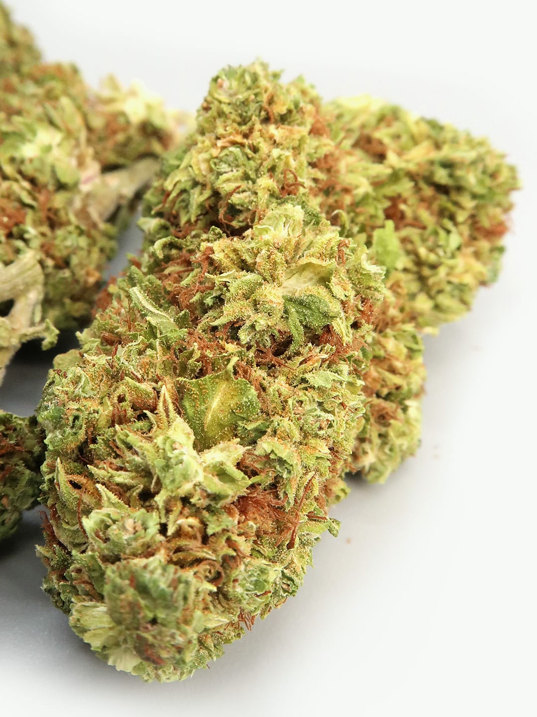Magnified AK-47 CBD Flower