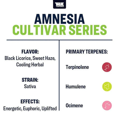 Amnesia | Terpenes UK | 5ml