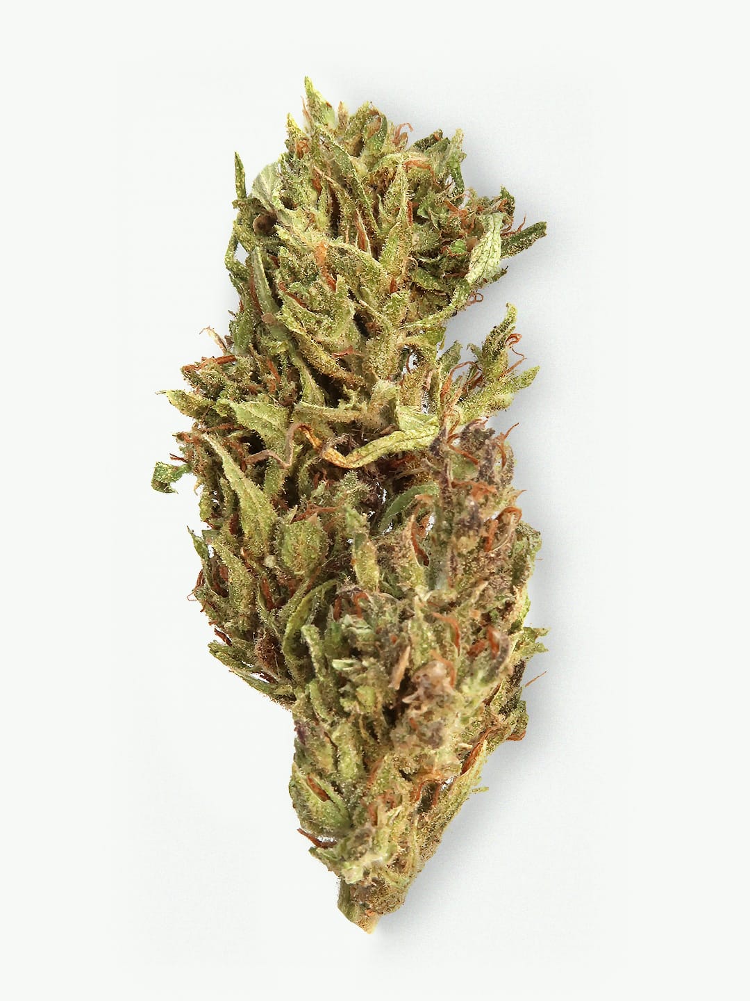 A close-up of a Blackberry Kush Super Budget Hemp Flower (8-13% CBD) from HempElf.com on a white background.