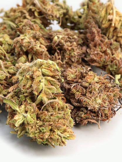 Close-up of HempElf.com Blackberry Kush Super Budget Hemp Flowers (8-13% CBD) on a white surface.