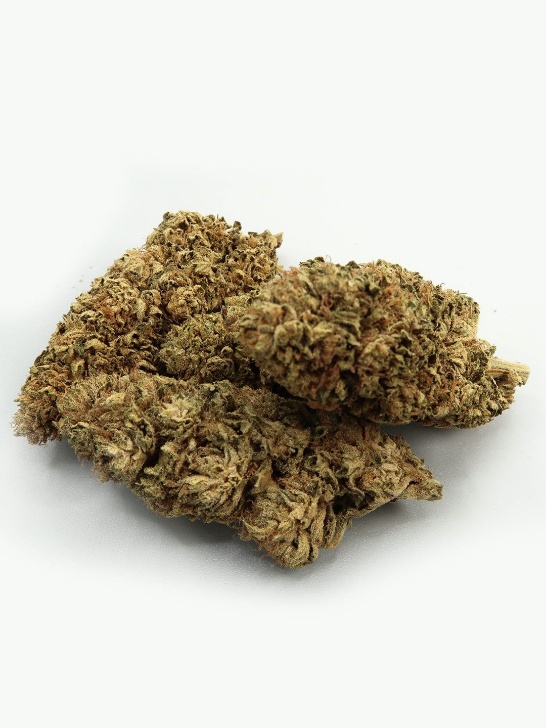 CBG Flowers close up