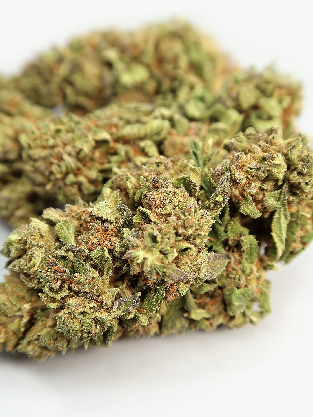Cheese Hemp Flowers (8-13% CBD)