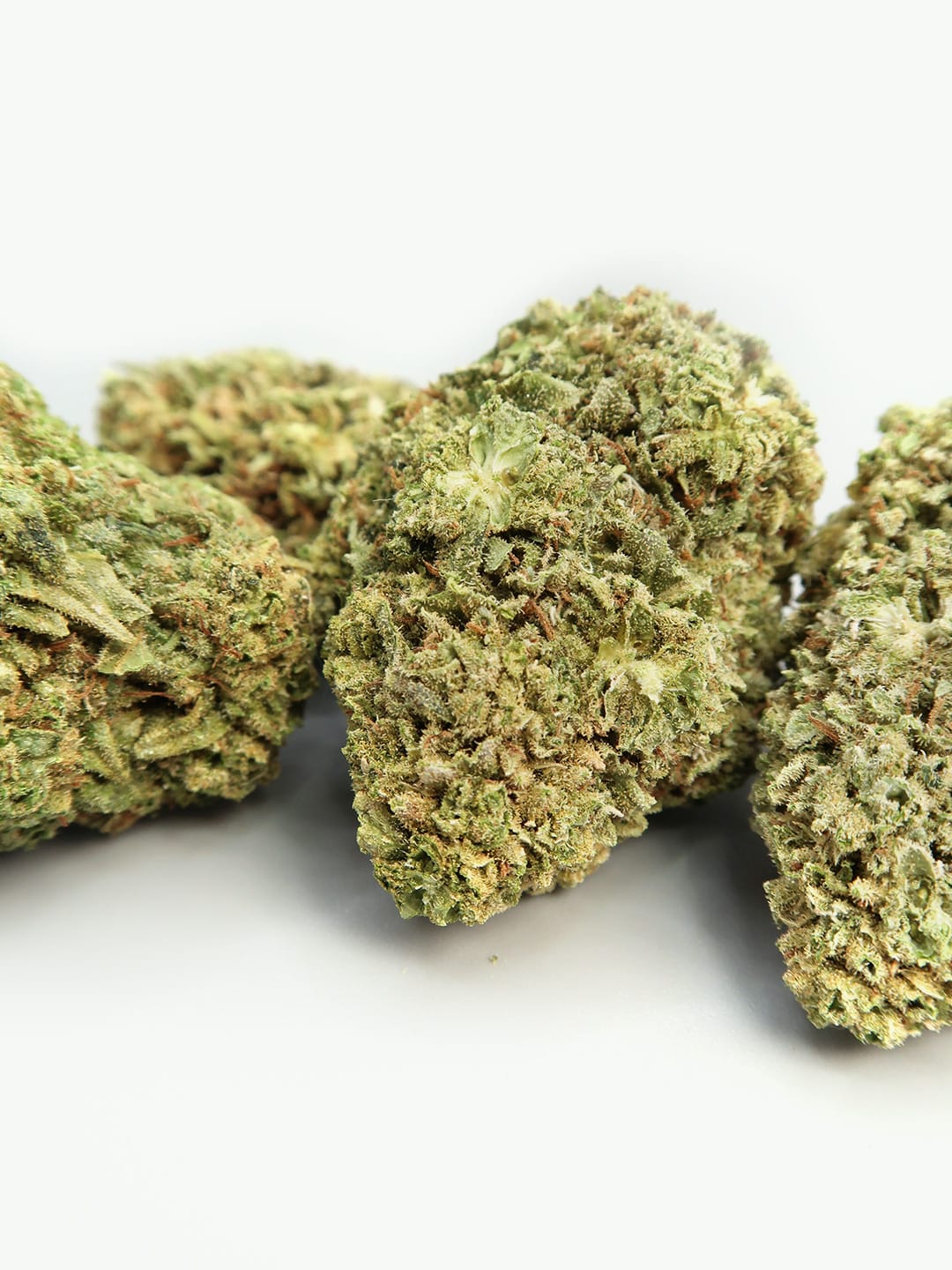 Sweet Honey | Cryocure CBD Flowers (8-13%)