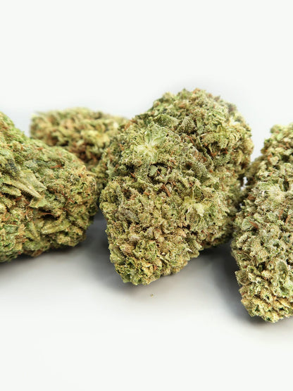 Sweet Honey | Cryocure CBD Flowers (8-13%)