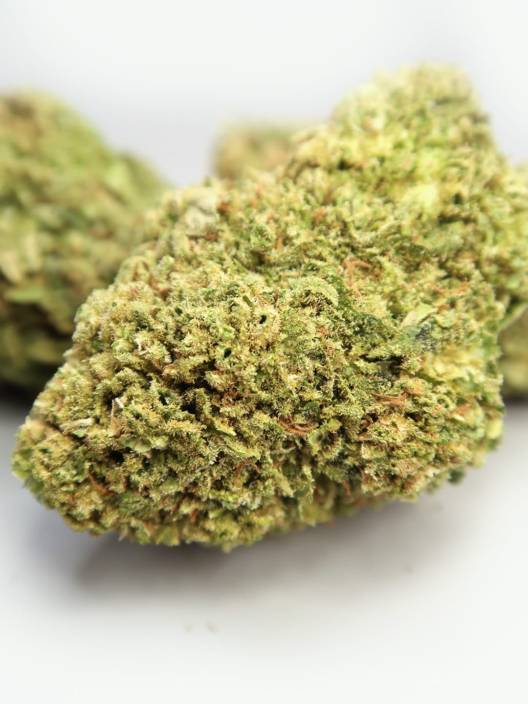 Sweet Honey | Cryocure CBD Flowers (8-13%)