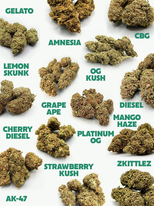 Elf it! I Want ‘em All